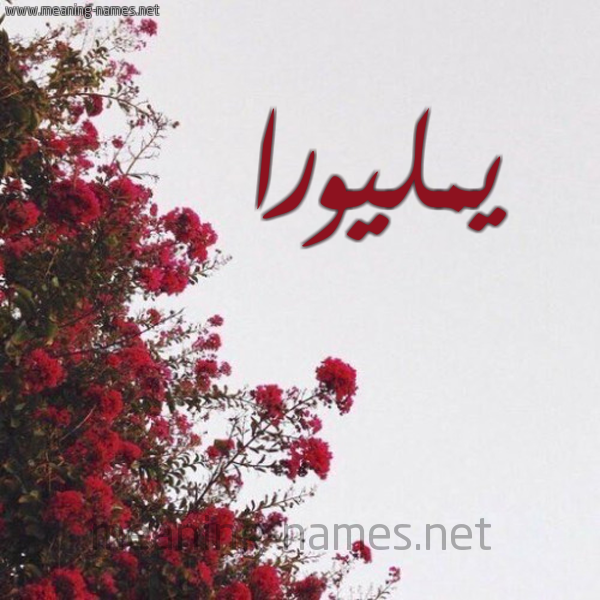 شكل 18 صوره الورد الأحمر للإسم بخط رقعة صورة اسم يمليورا Meliora
