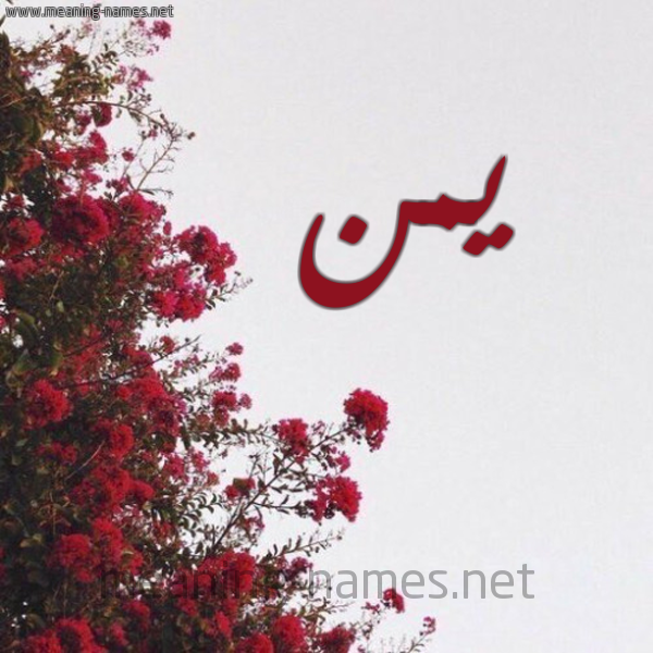 شكل 18 صوره الورد الأحمر للإسم بخط رقعة صورة اسم يمن Ymnn