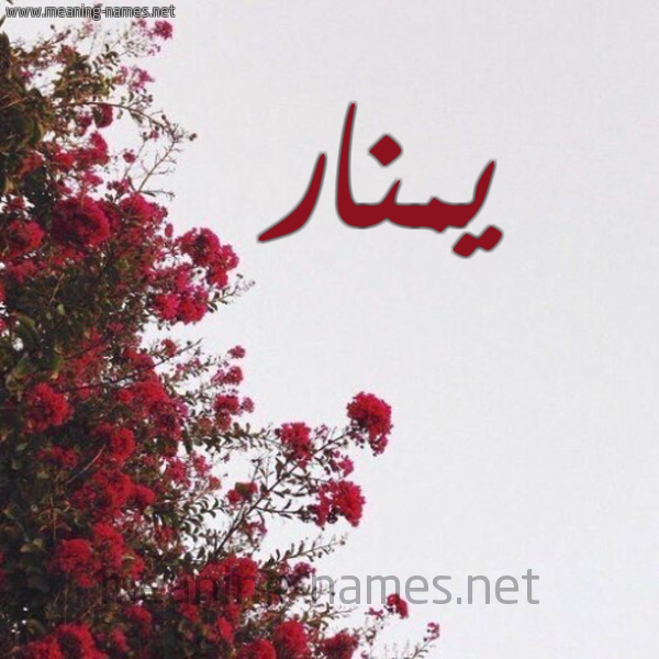 شكل 18 صوره الورد الأحمر للإسم بخط رقعة صورة اسم يمنار Manar