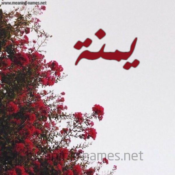 شكل 18 صوره الورد الأحمر للإسم بخط رقعة صورة اسم يمنة Menna