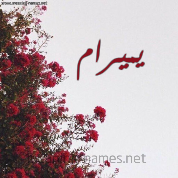 شكل 18 صوره الورد الأحمر للإسم بخط رقعة صورة اسم يميرام Miram