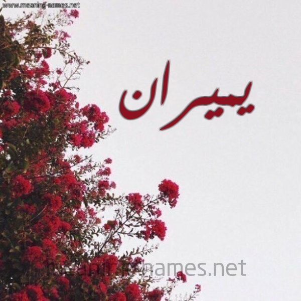 شكل 18 صوره الورد الأحمر للإسم بخط رقعة صورة اسم يميران Miran