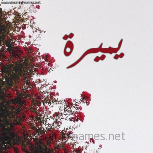 شكل 18 صوره الورد الأحمر للإسم بخط رقعة صورة اسم يميرة Mira