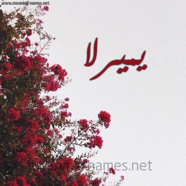 شكل 18 صوره الورد الأحمر للإسم بخط رقعة صورة اسم يميرلا Mirla