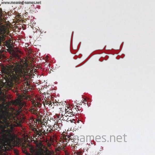 شكل 18 صوره الورد الأحمر للإسم بخط رقعة صورة اسم يميريا Miria