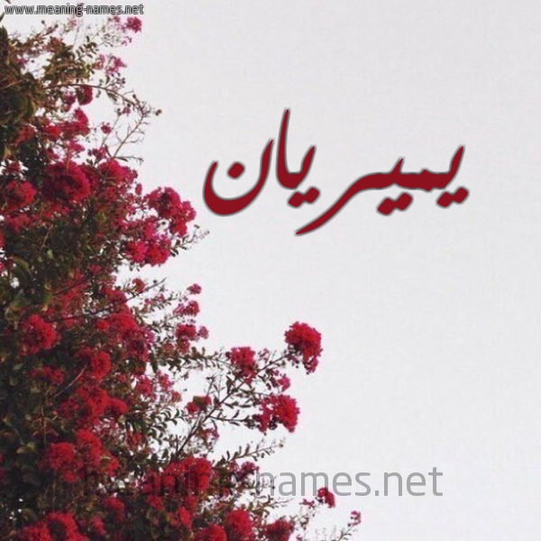 شكل 18 صوره الورد الأحمر للإسم بخط رقعة صورة اسم يميريان Mirian