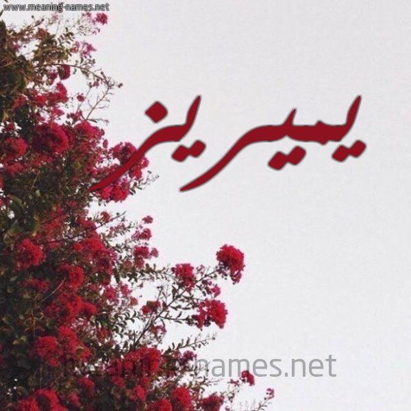 شكل 18 صوره الورد الأحمر للإسم بخط رقعة صورة اسم يميريز Merise