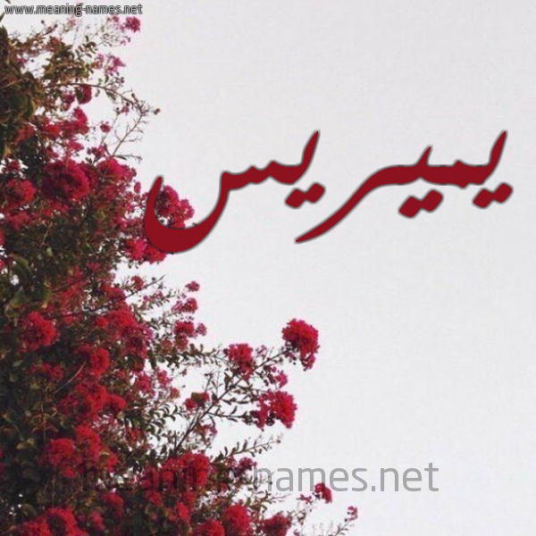شكل 18 صوره الورد الأحمر للإسم بخط رقعة صورة اسم يميريس meris