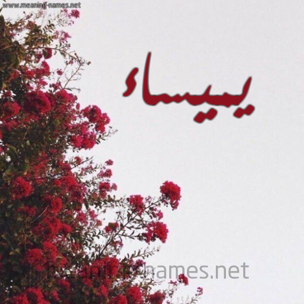 شكل 18 صوره الورد الأحمر للإسم بخط رقعة صورة اسم يميساء Maysaa
