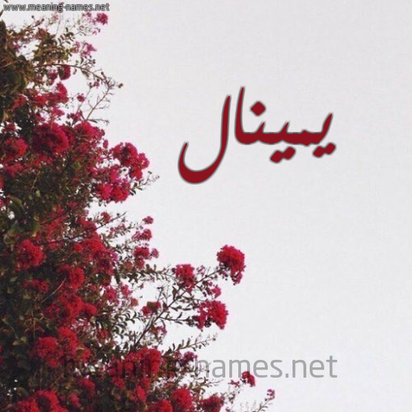 شكل 18 صوره الورد الأحمر للإسم بخط رقعة صورة اسم يمينال Minal