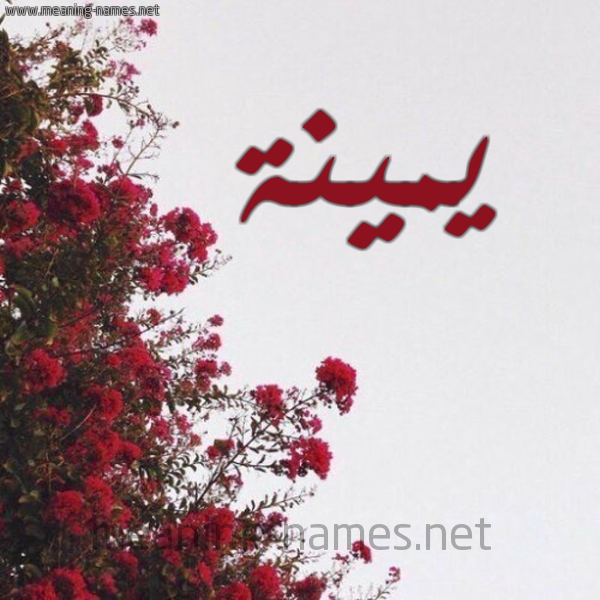 شكل 18 صوره الورد الأحمر للإسم بخط رقعة صورة اسم يمينة yamina