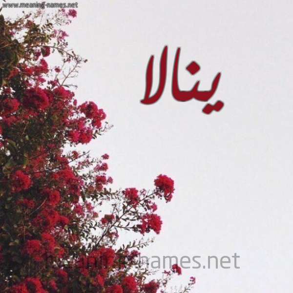 شكل 18 صوره الورد الأحمر للإسم بخط رقعة صورة اسم ينالا Nala