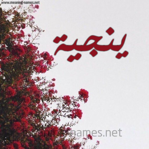 شكل 18 صوره الورد الأحمر للإسم بخط رقعة صورة اسم ينجية Nagia
