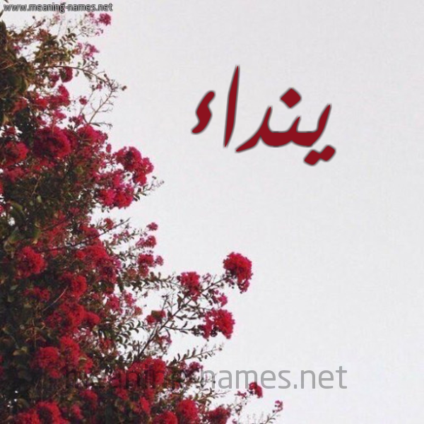 شكل 18 صوره الورد الأحمر للإسم بخط رقعة صورة اسم ينداء Nedaa