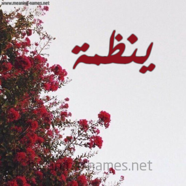 شكل 18 صوره الورد الأحمر للإسم بخط رقعة صورة اسم ينظمة Nazma