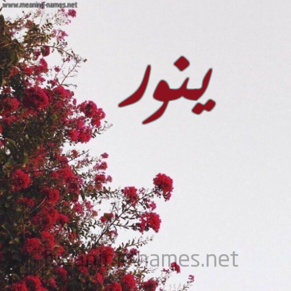 شكل 18 صوره الورد الأحمر للإسم بخط رقعة صورة اسم ينور Nour