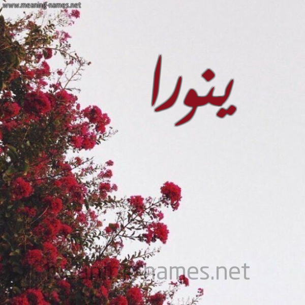 شكل 18 صوره الورد الأحمر للإسم بخط رقعة صورة اسم ينورا Noura