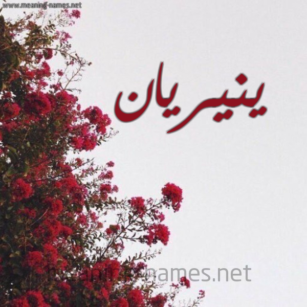 شكل 18 صوره الورد الأحمر للإسم بخط رقعة صورة اسم ينيريان Nirian