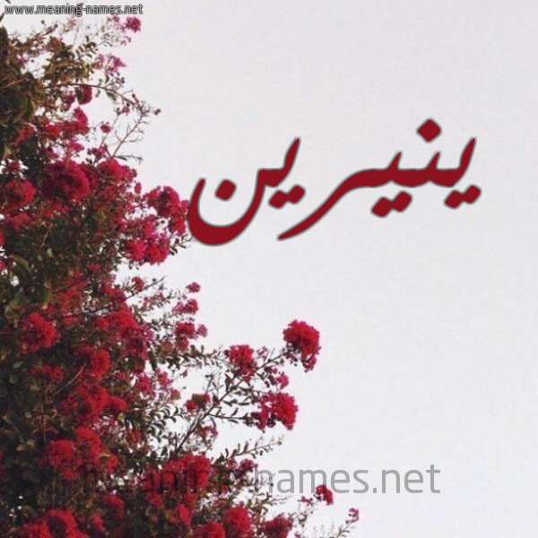 شكل 18 صوره الورد الأحمر للإسم بخط رقعة صورة اسم ينيرين Nerine
