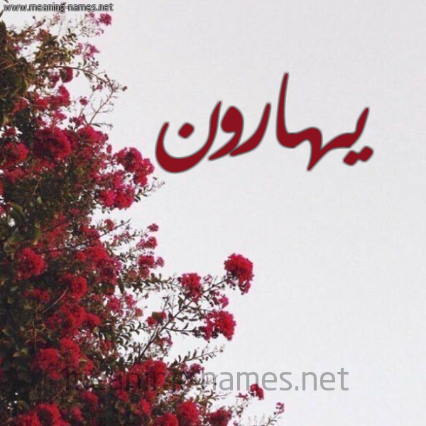 شكل 18 صوره الورد الأحمر للإسم بخط رقعة صورة اسم يهارون Haroon