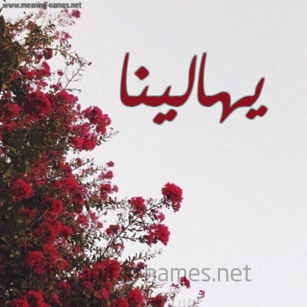 شكل 18 صوره الورد الأحمر للإسم بخط رقعة صورة اسم يهالينا Halina