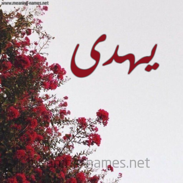 شكل 18 صوره الورد الأحمر للإسم بخط رقعة صورة اسم يهدى Hoda