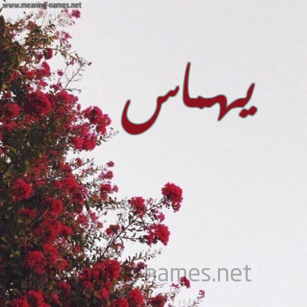 شكل 18 صوره الورد الأحمر للإسم بخط رقعة صورة اسم يهماس Hummas