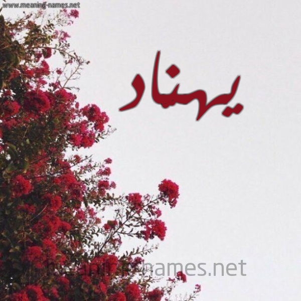 شكل 18 صوره الورد الأحمر للإسم بخط رقعة صورة اسم يهنّاد Hannad