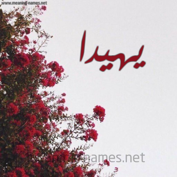 شكل 18 صوره الورد الأحمر للإسم بخط رقعة صورة اسم يهيدا Hida