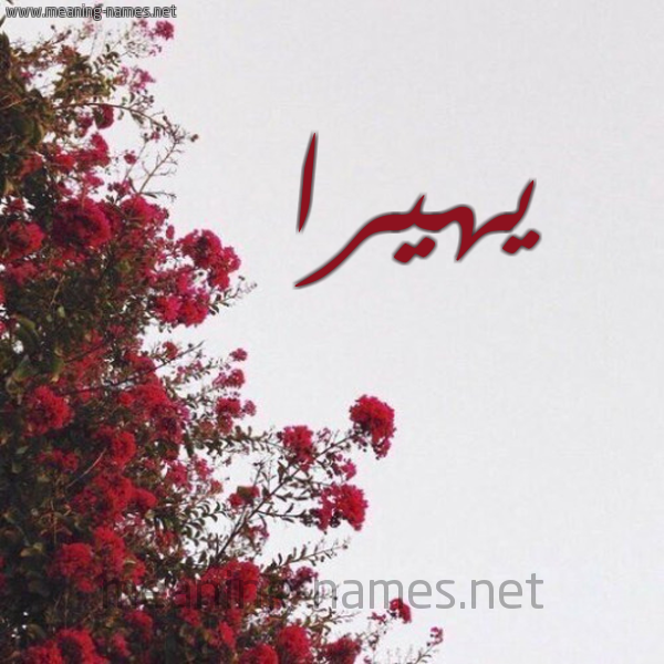 شكل 18 صوره الورد الأحمر للإسم بخط رقعة صورة اسم يهيرا Hira