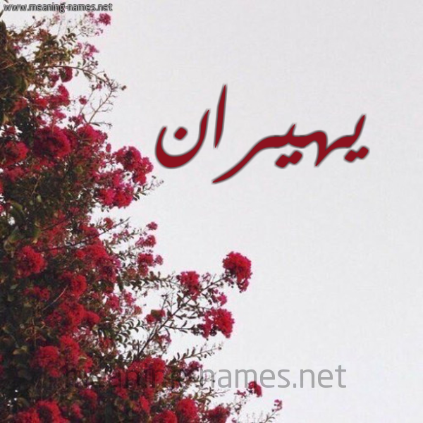 شكل 18 صوره الورد الأحمر للإسم بخط رقعة صورة اسم يهيران Hiran