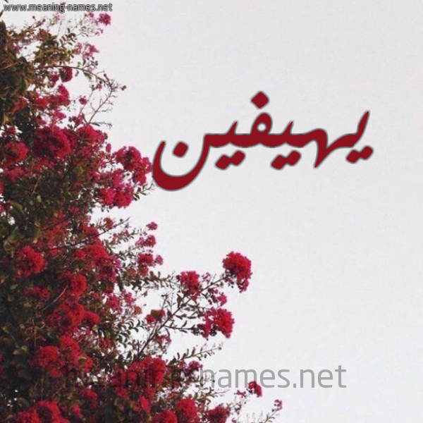 شكل 18 صوره الورد الأحمر للإسم بخط رقعة صورة اسم يهيفين Heaven
