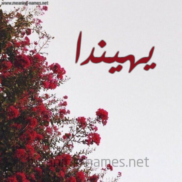 شكل 18 صوره الورد الأحمر للإسم بخط رقعة صورة اسم يهيندا Henda