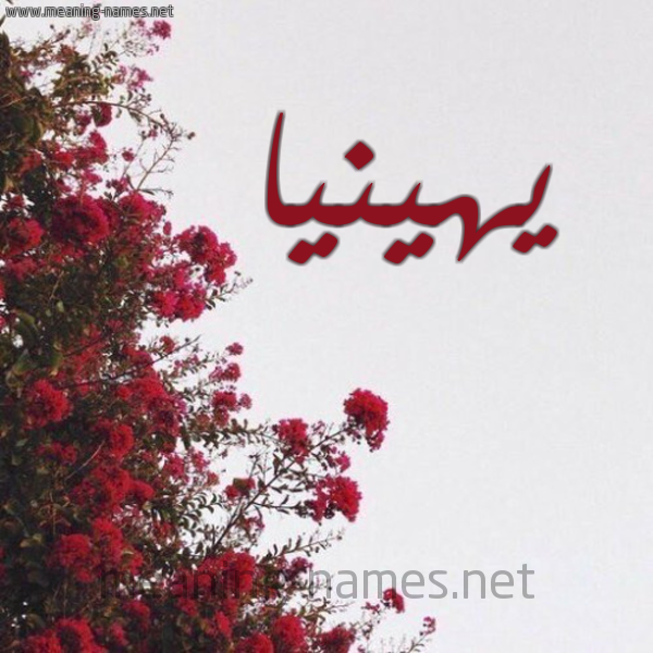 شكل 18 صوره الورد الأحمر للإسم بخط رقعة صورة اسم يهينيا Hinia