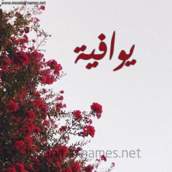 شكل 18 صوره الورد الأحمر للإسم بخط رقعة صورة اسم يوافية Wafeya