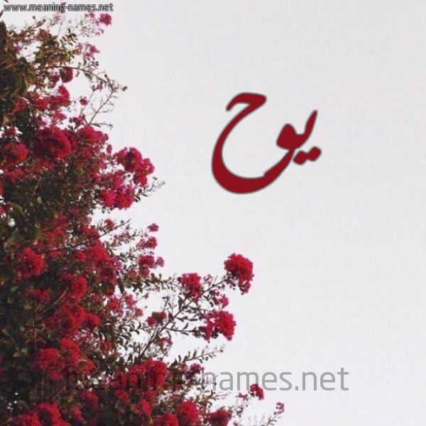 شكل 18 صوره الورد الأحمر للإسم بخط رقعة صورة اسم يوح Ywh