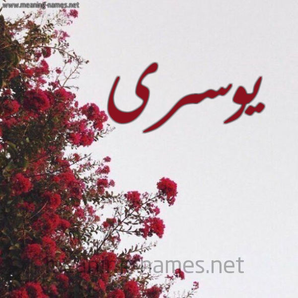 شكل 18 صوره الورد الأحمر للإسم بخط رقعة صورة اسم يوسرى Yousra
