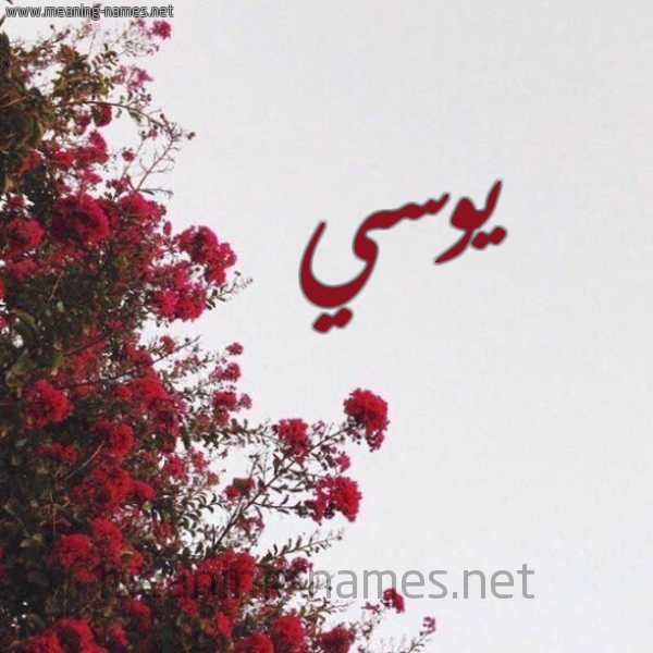 شكل 18 صوره الورد الأحمر للإسم بخط رقعة صورة اسم يوسي IOSI