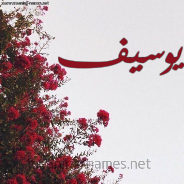 شكل 18 صوره الورد الأحمر للإسم بخط رقعة صورة اسم يوسيف Yosef