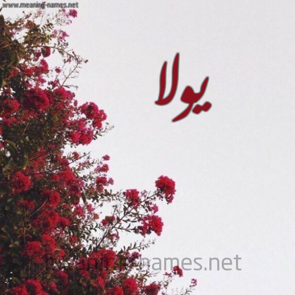 شكل 18 صوره الورد الأحمر للإسم بخط رقعة صورة اسم يولا Yola
