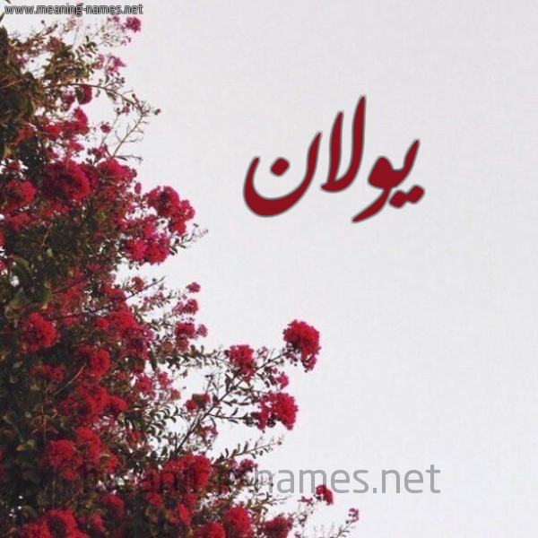شكل 18 صوره الورد الأحمر للإسم بخط رقعة صورة اسم يولان yollan