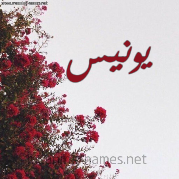 شكل 18 صوره الورد الأحمر للإسم بخط رقعة صورة اسم يونيس Younes