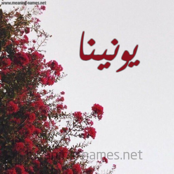 شكل 18 صوره الورد الأحمر للإسم بخط رقعة صورة اسم يونينا yonia