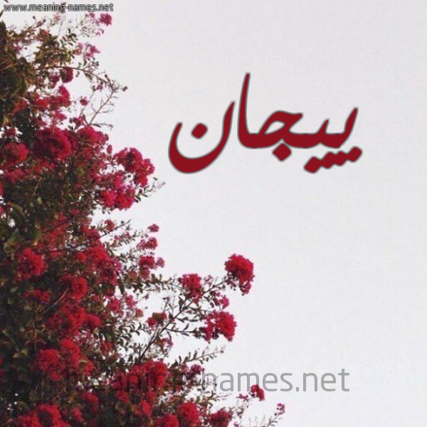 شكل 18 صوره الورد الأحمر للإسم بخط رقعة صورة اسم ييجان Jan