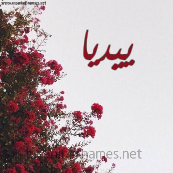 شكل 18 صوره الورد الأحمر للإسم بخط رقعة صورة اسم ييديا Dia