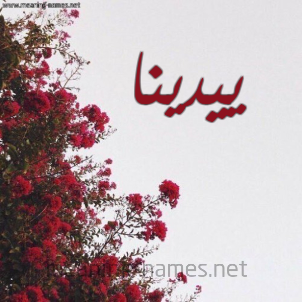 شكل 18 صوره الورد الأحمر للإسم بخط رقعة صورة اسم ييدينا Dina