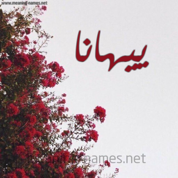 شكل 18 صوره الورد الأحمر للإسم بخط رقعة صورة اسم ييهانا Hana