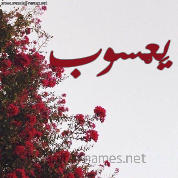 شكل 18 صوره الورد الأحمر للإسم بخط رقعة صورة اسم يَعْسوب IAASOB