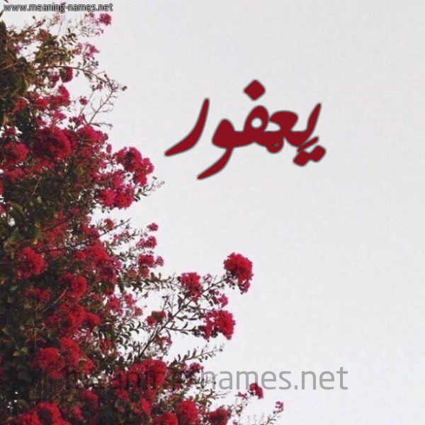 شكل 18 صوره الورد الأحمر للإسم بخط رقعة صورة اسم يَعْفور IAAFOR