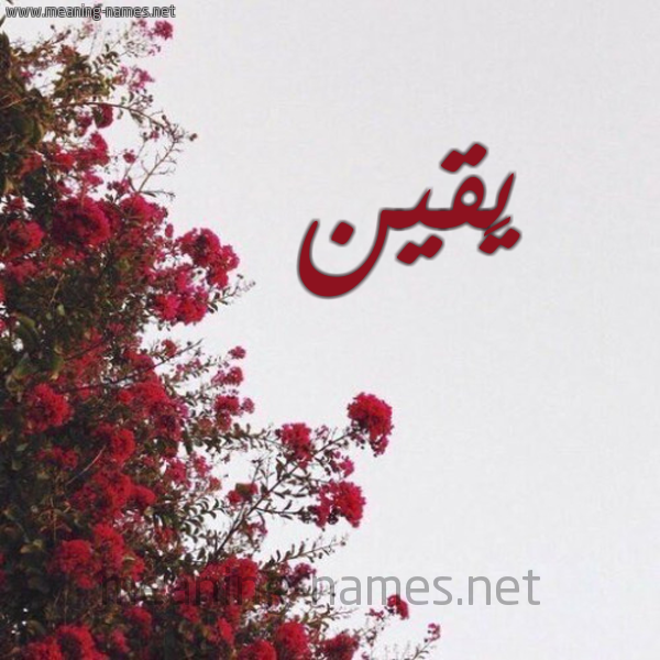 شكل 18 صوره الورد الأحمر للإسم بخط رقعة صورة اسم يَقين IAQIN